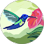 Samor Davis Avatar